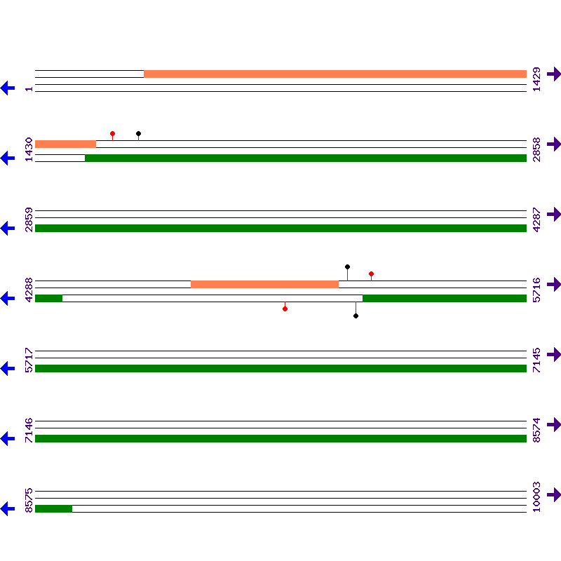 Genome View