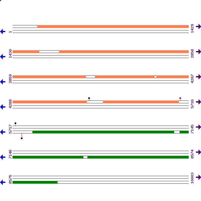 Genome View
