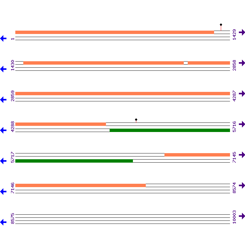 Genome View