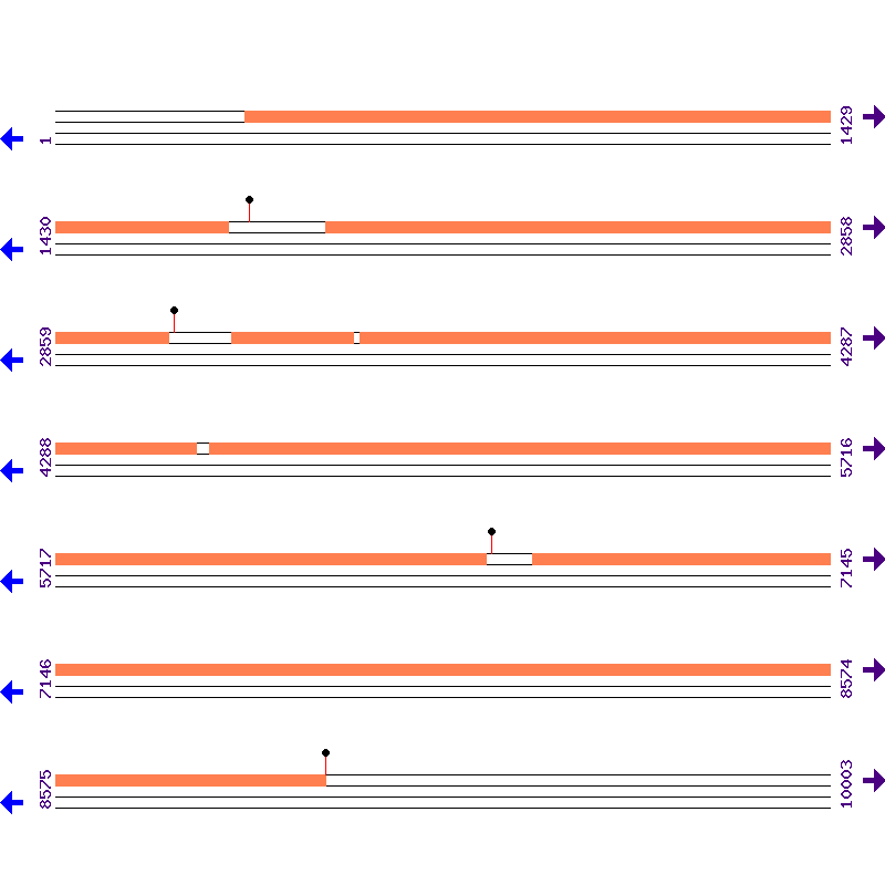 Genome View