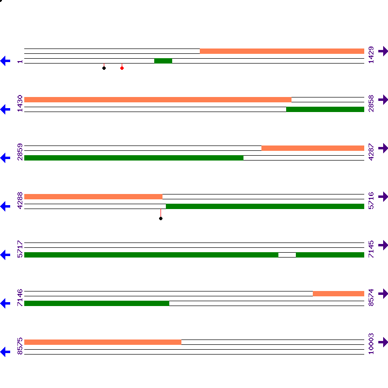 Genome View