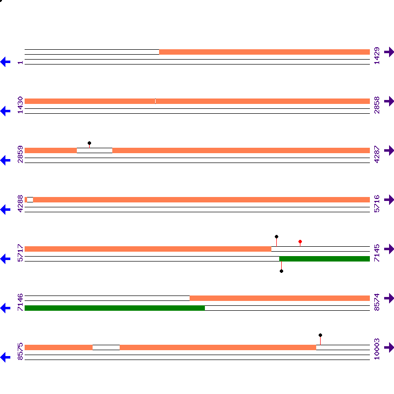 Genome View