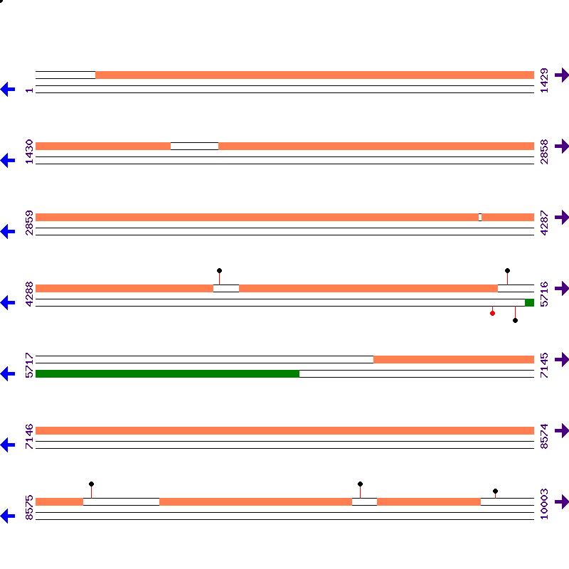 Genome View