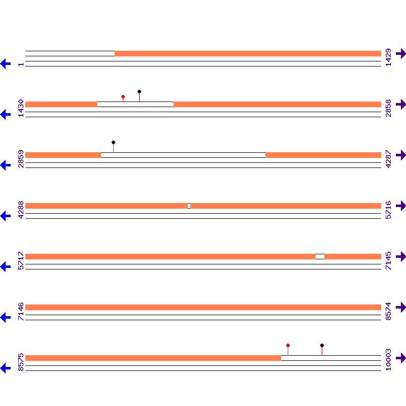 Genome View
