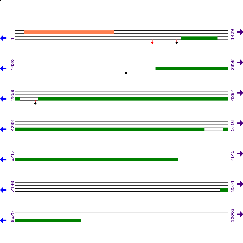 Genome View