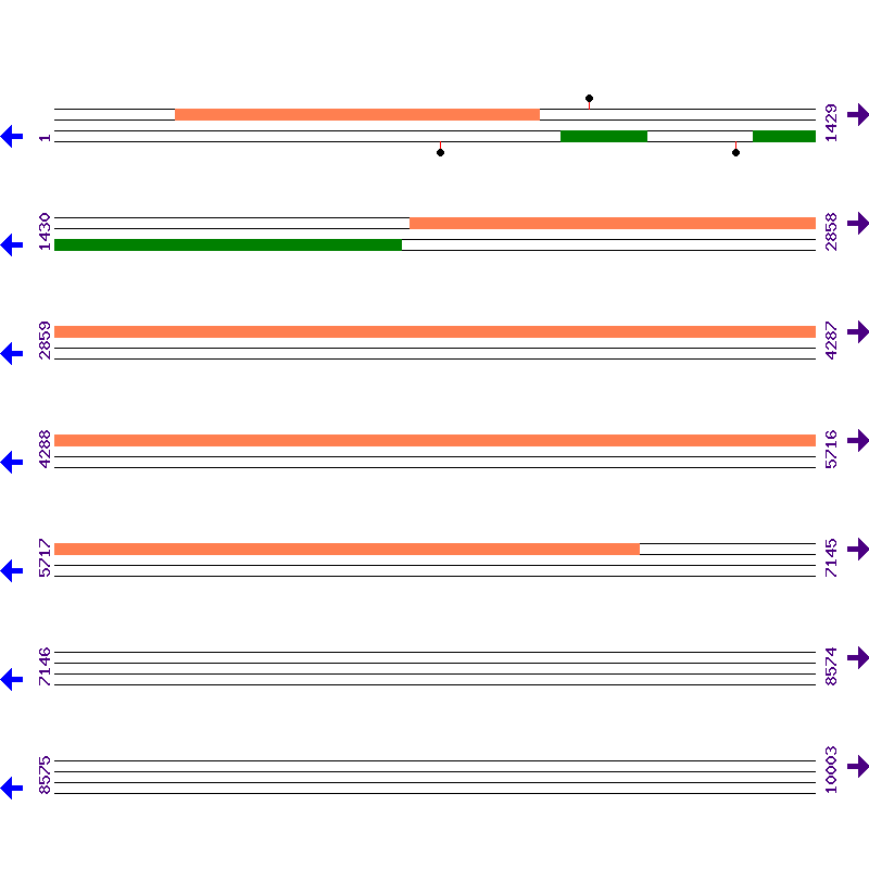 Genome View