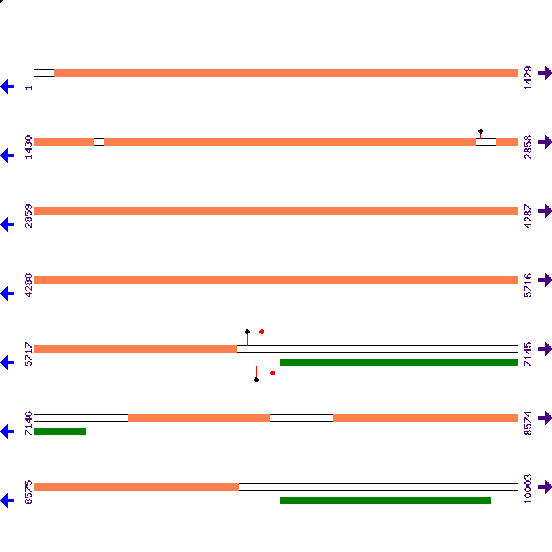 Genome View
