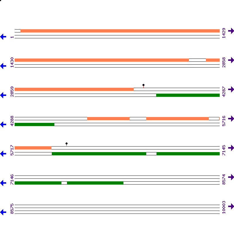 Genome View