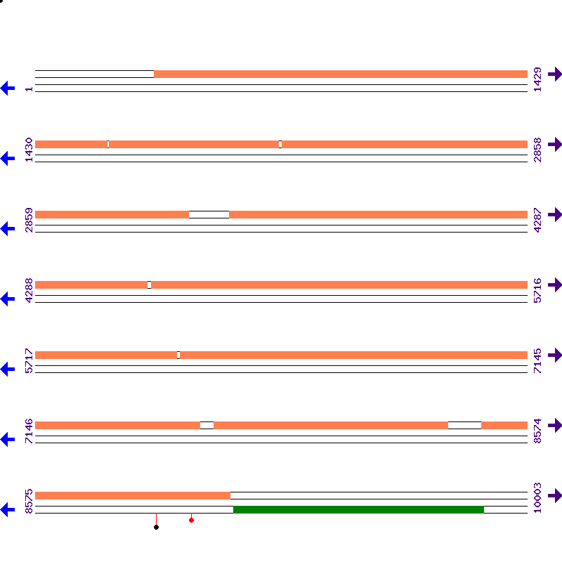 Genome View