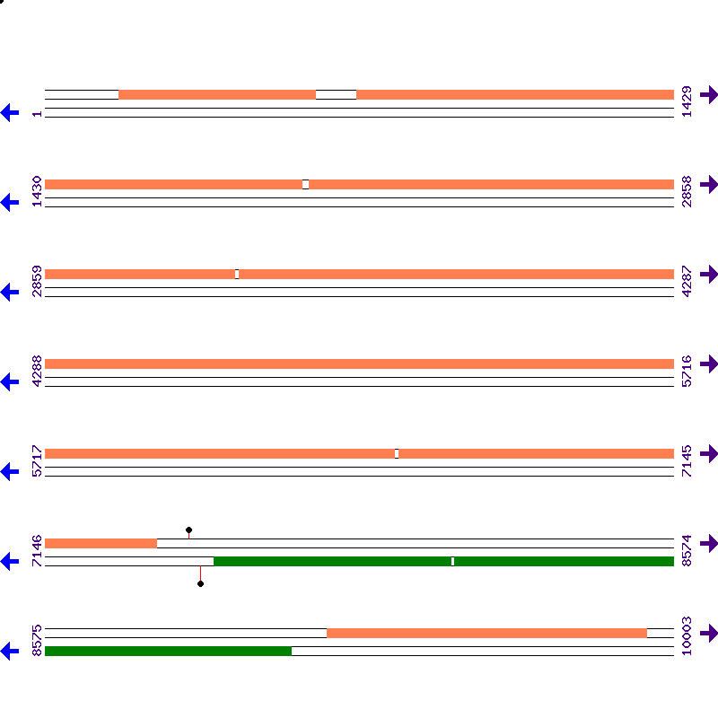 Genome View