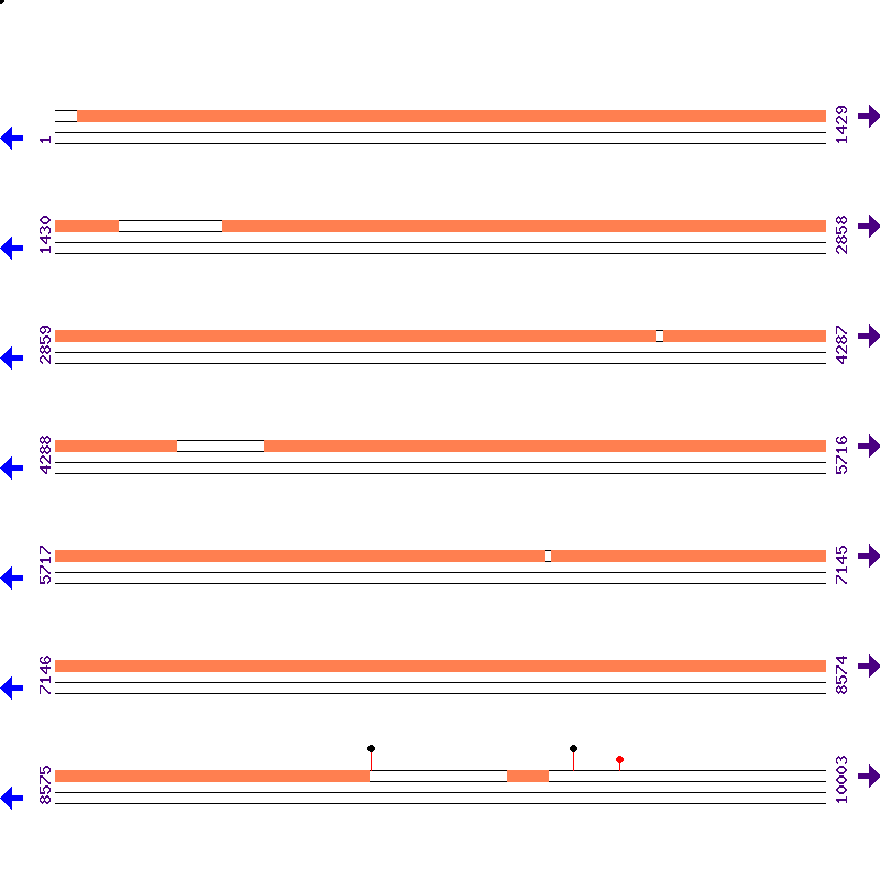 Genome View