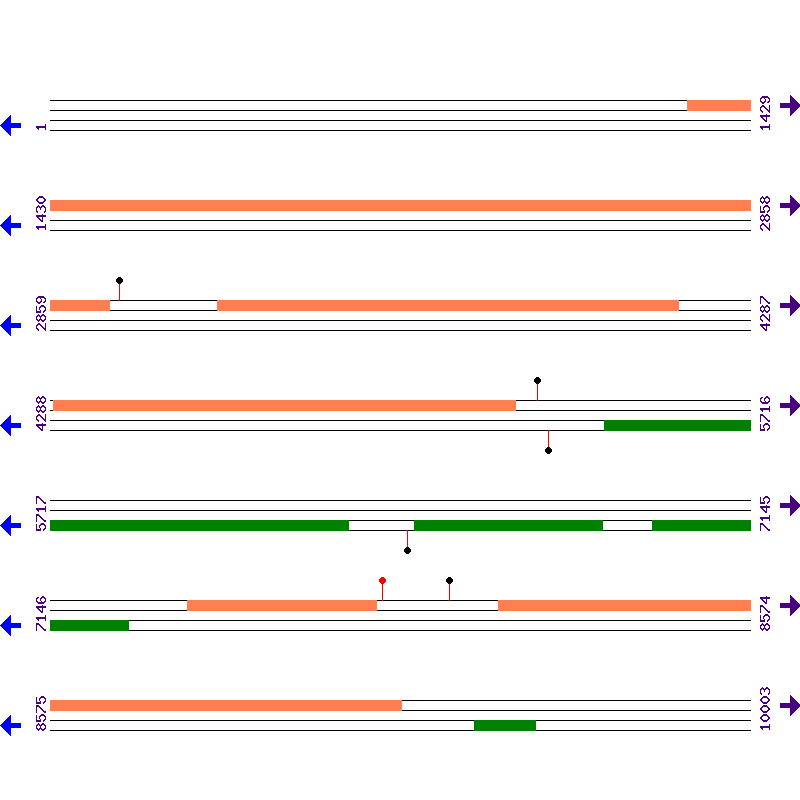Genome View