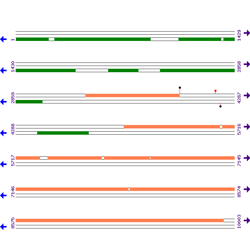 Genome View
