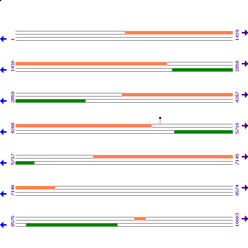 Genome View