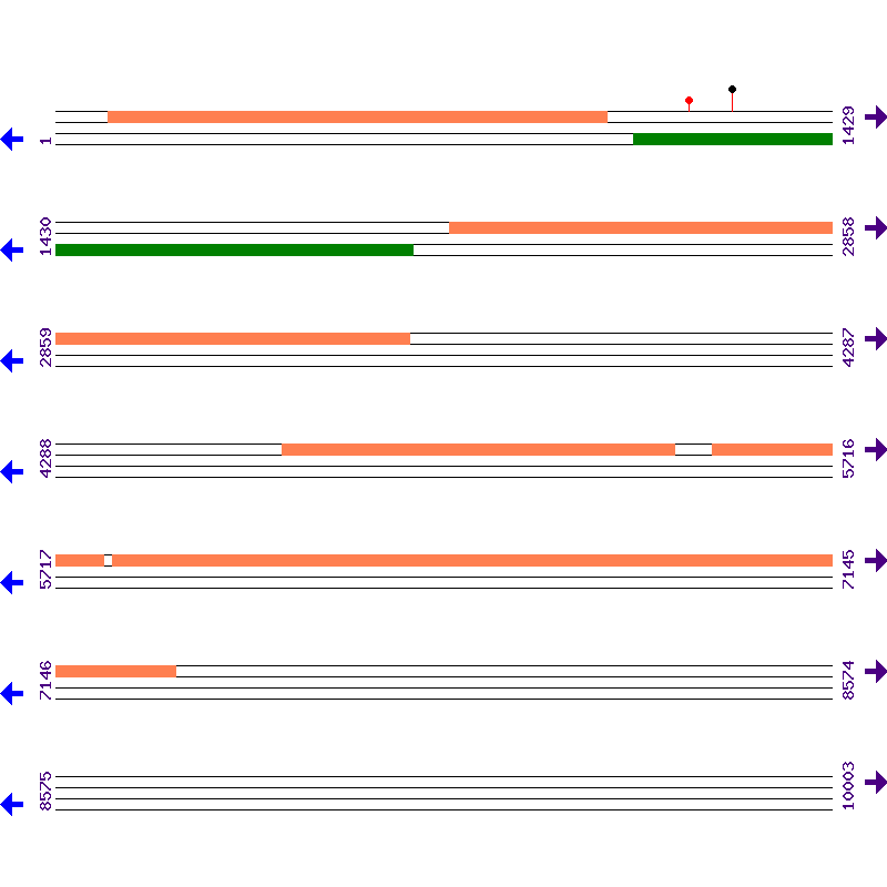 Genome View