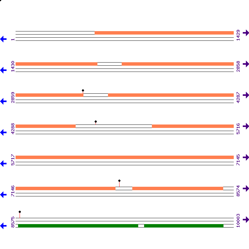 Genome View