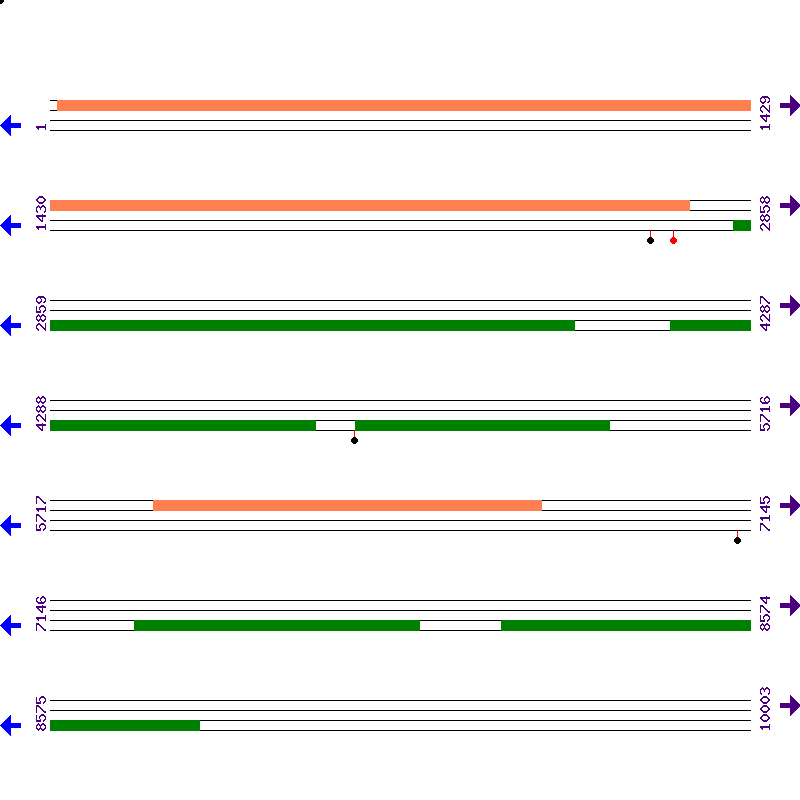 Genome View