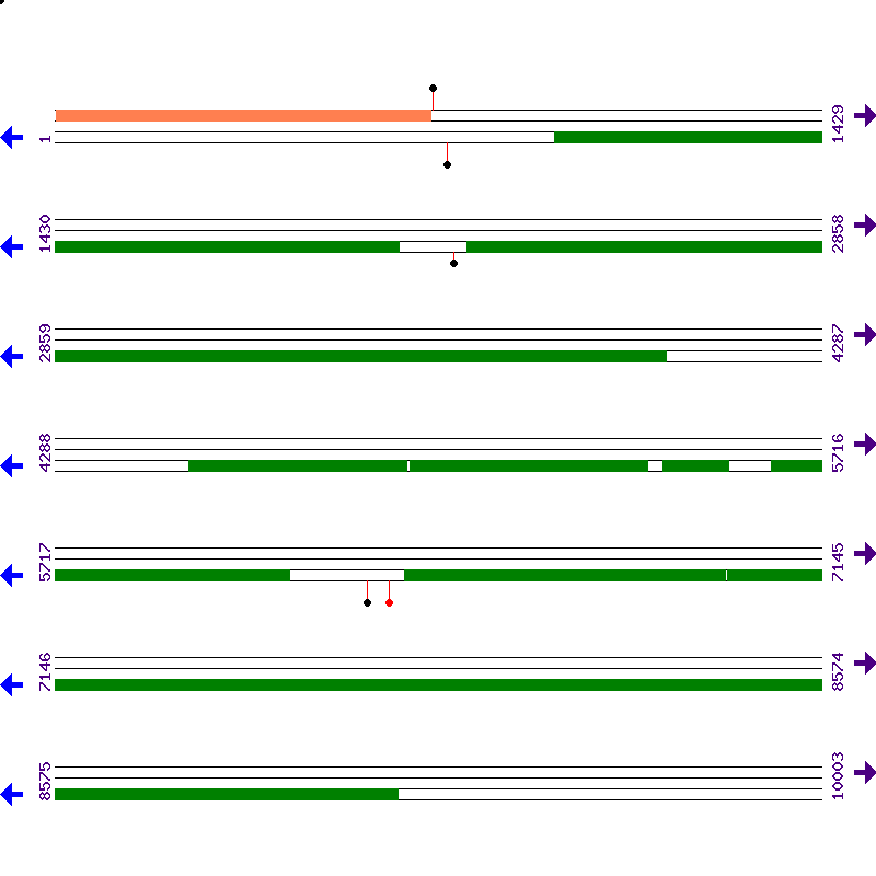 Genome View