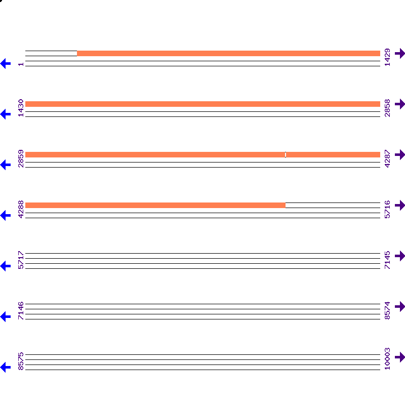 Genome View
