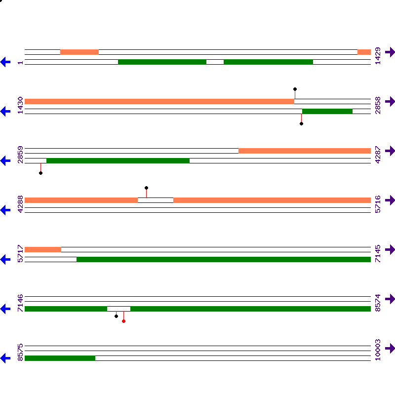 Genome View