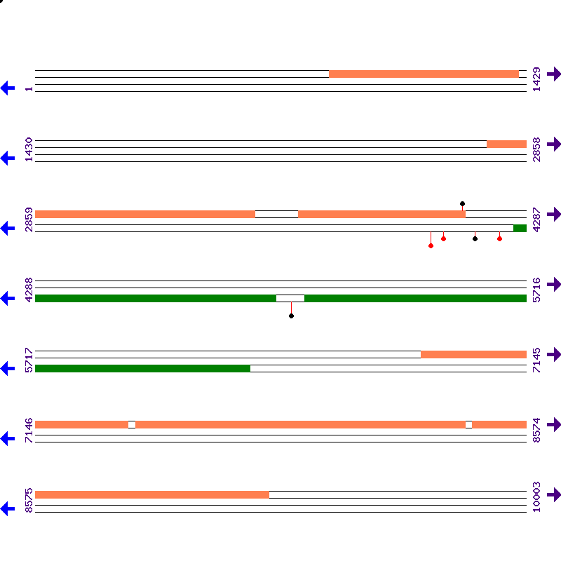 Genome View