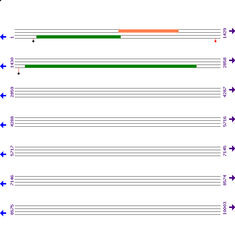 Genome View