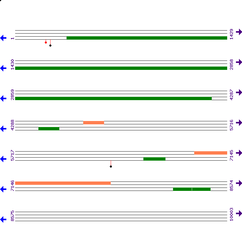 Genome View