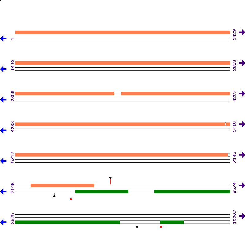Genome View
