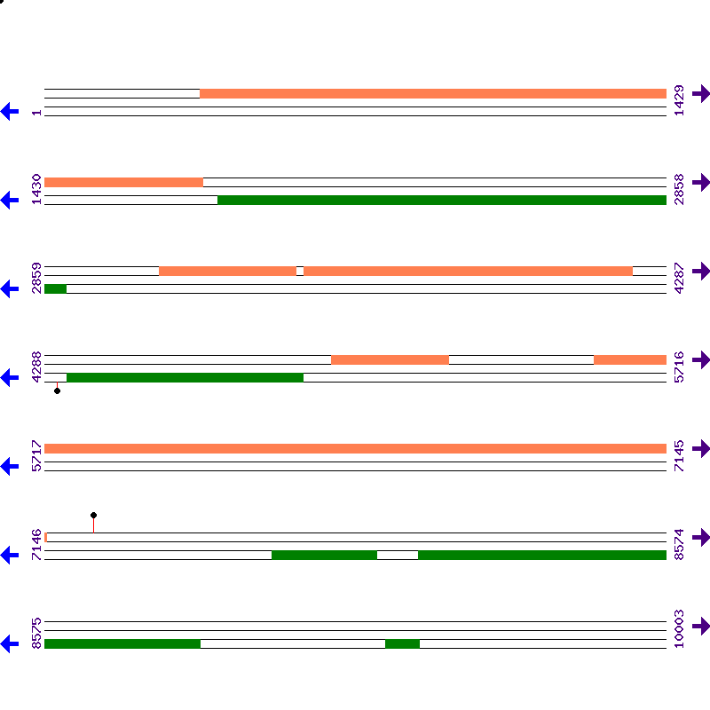Genome View