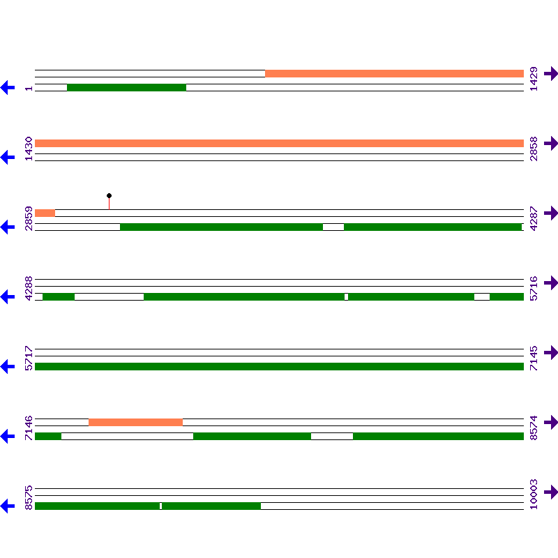 Genome View