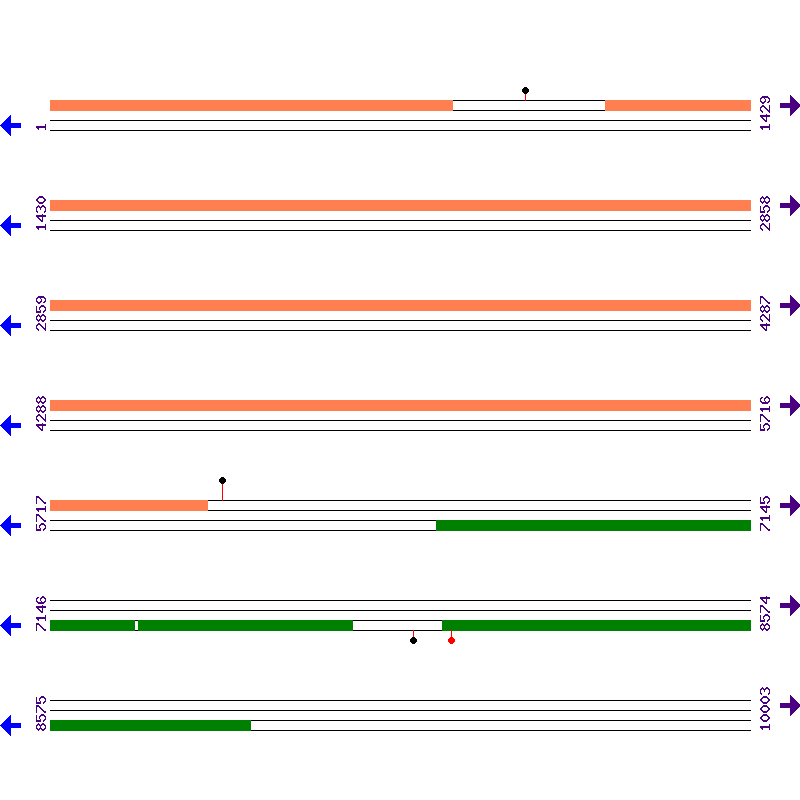 Genome View