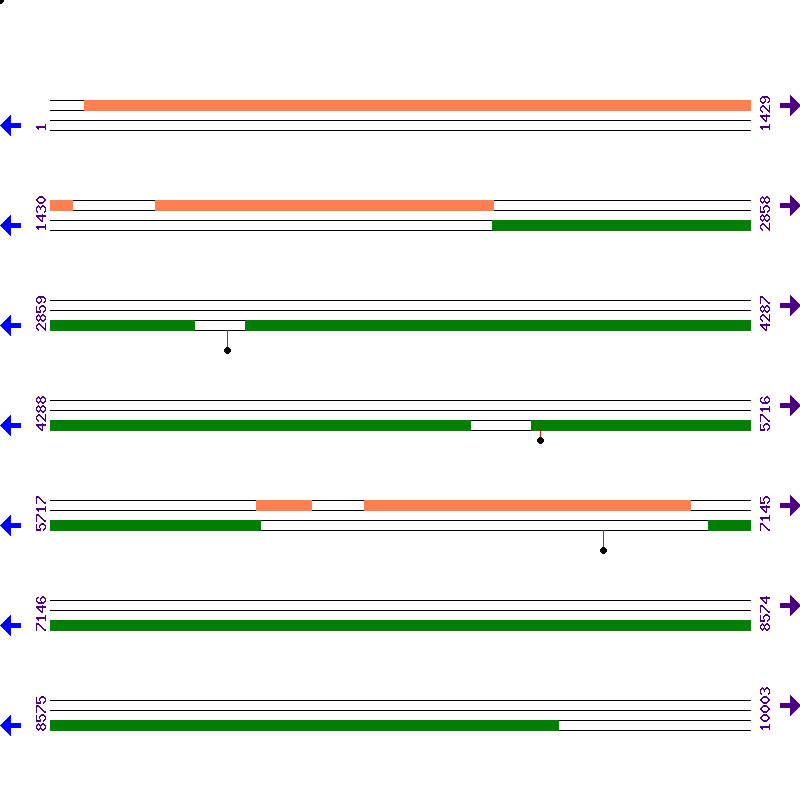 Genome View