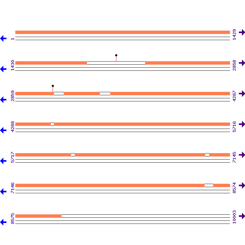 Genome View