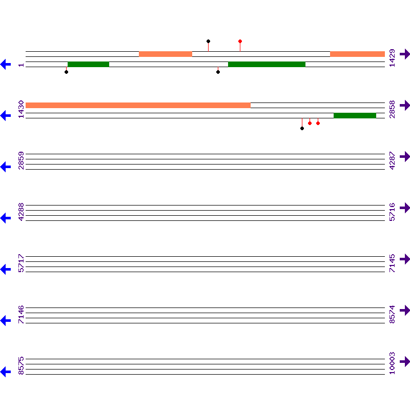 Genome View