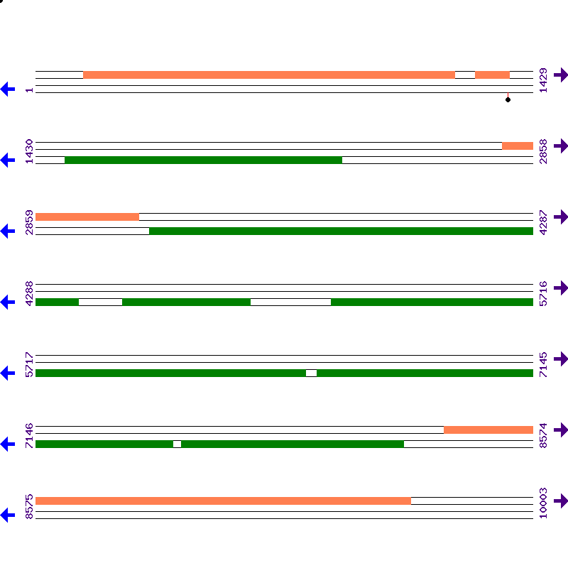 Genome View