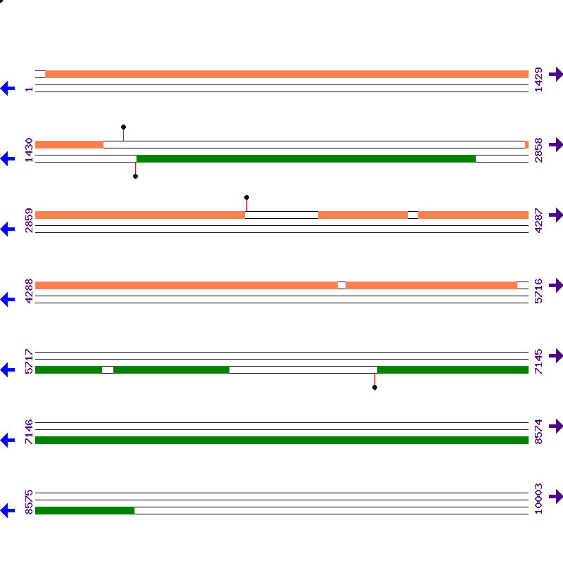Genome View