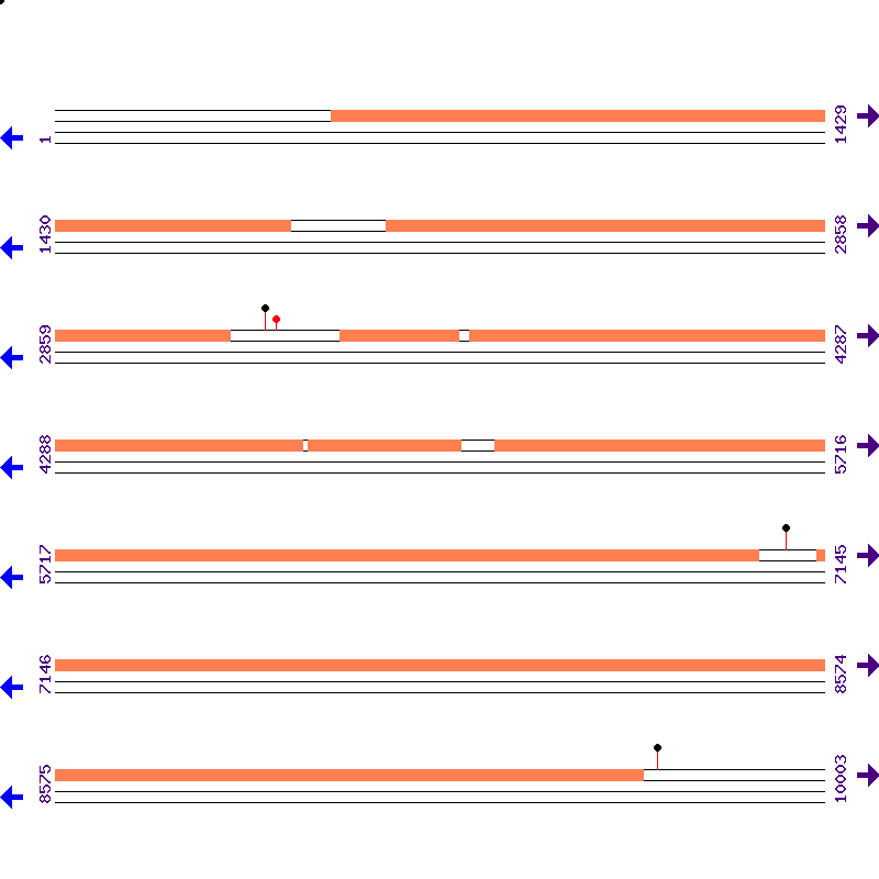 Genome View
