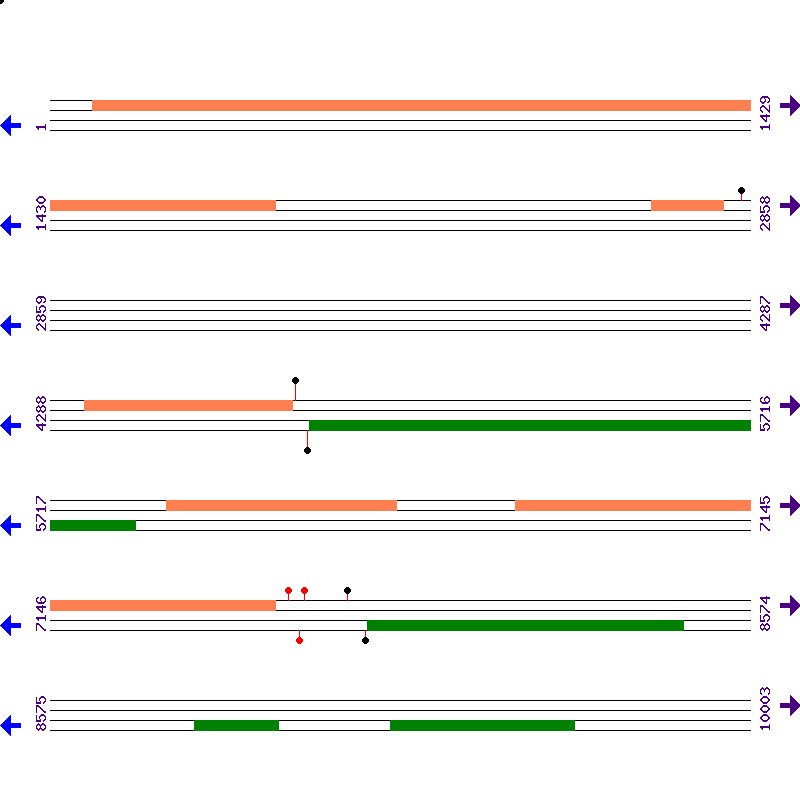 Genome View