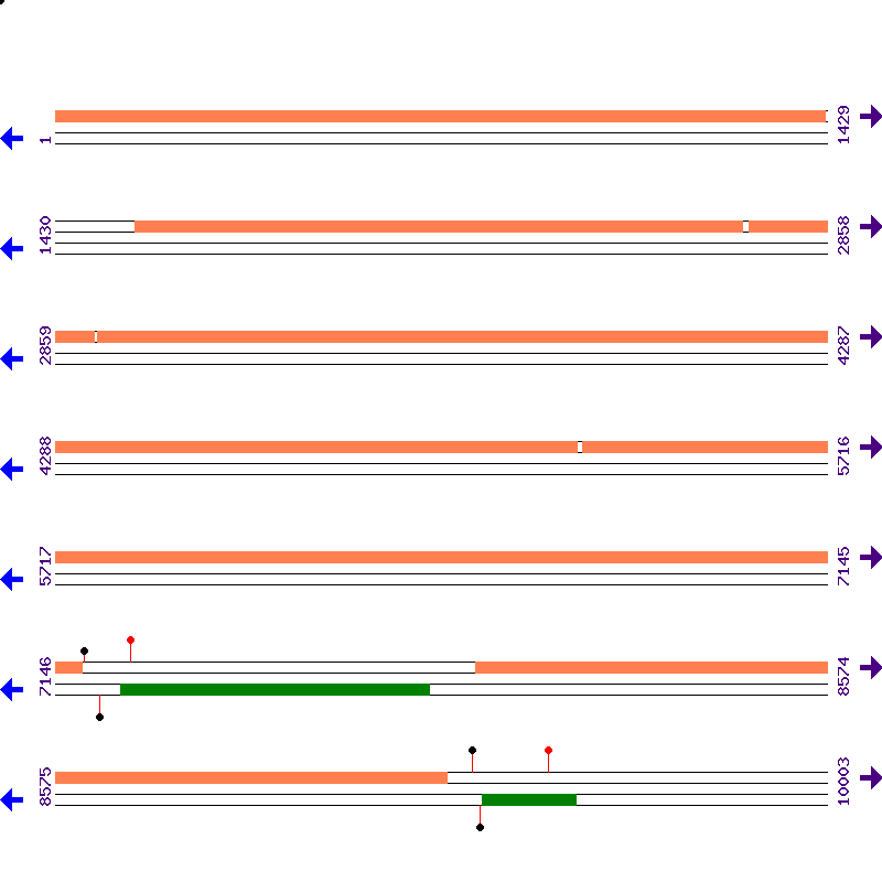 Genome View