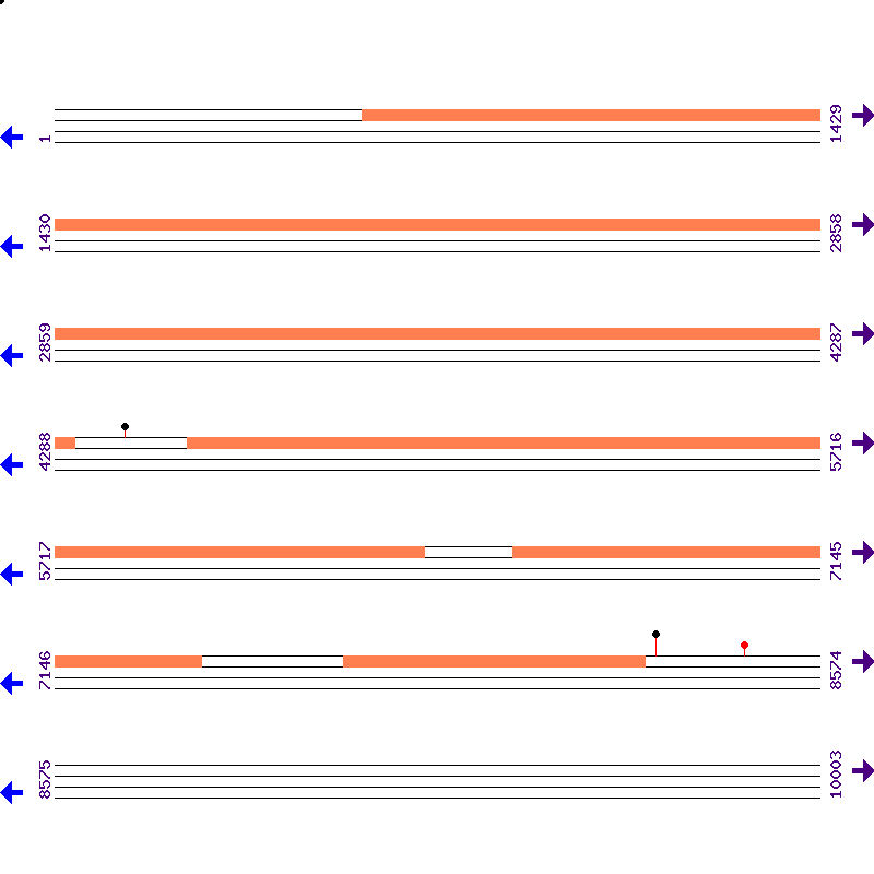 Genome View