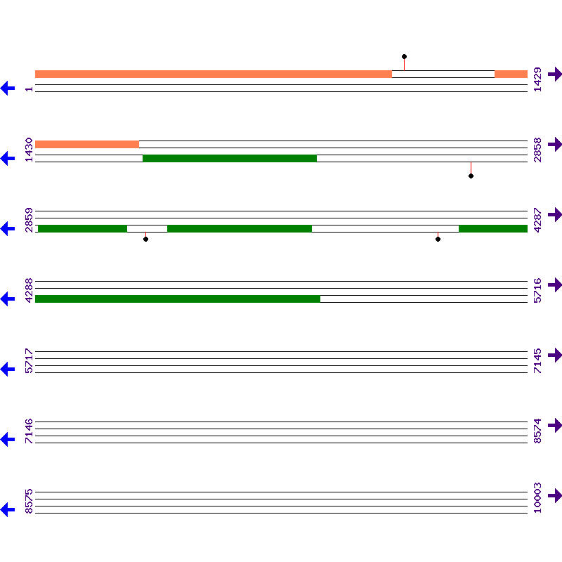 Genome View