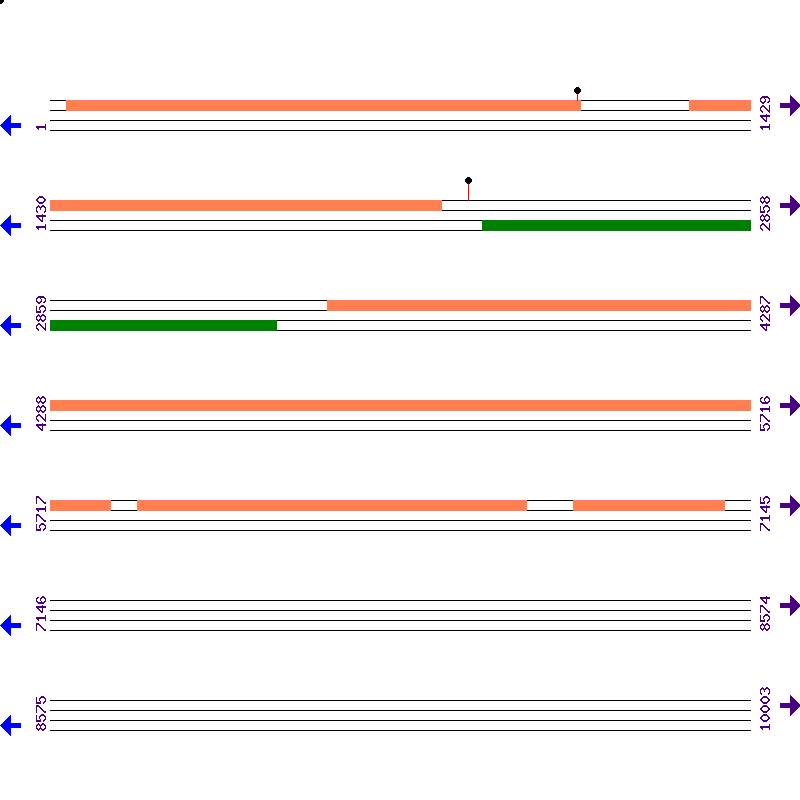 Genome View