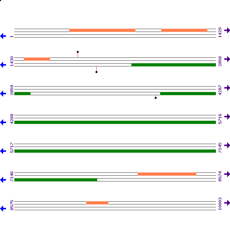 Genome View