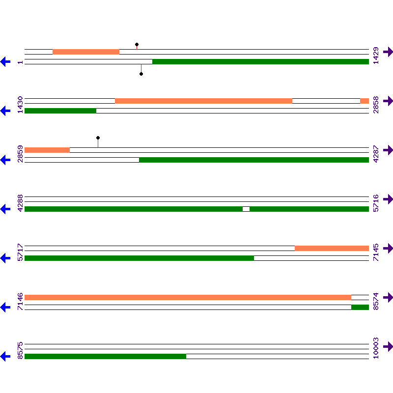 Genome View