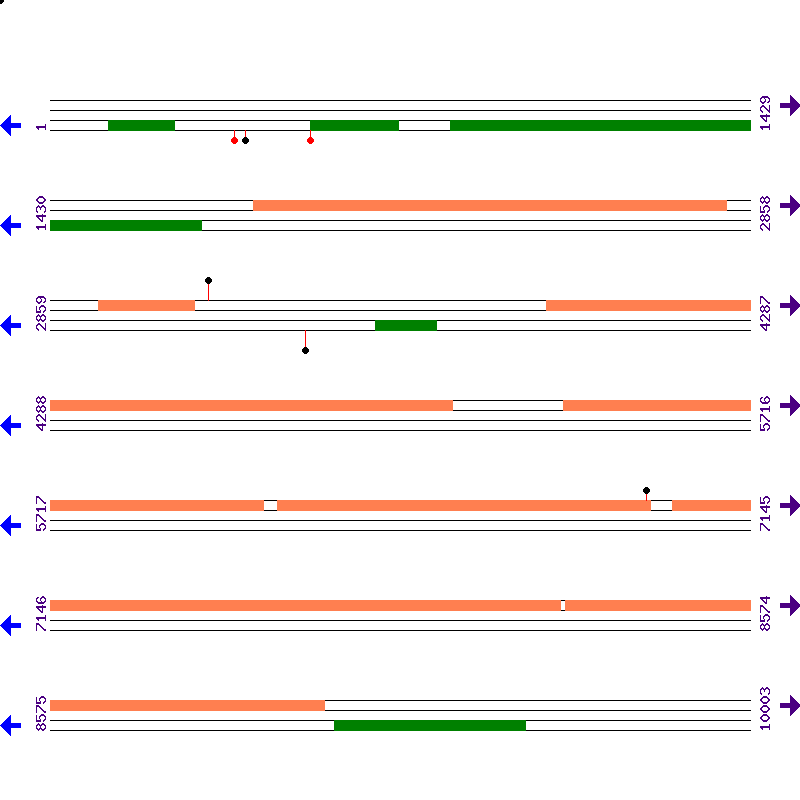 Genome View