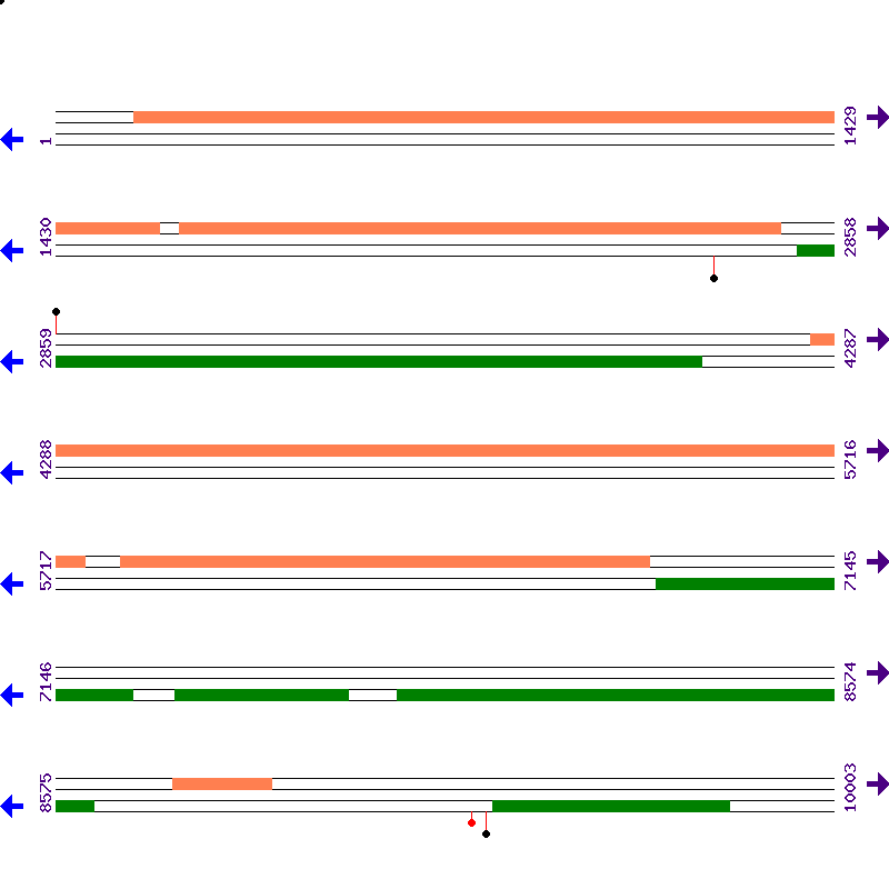 Genome View