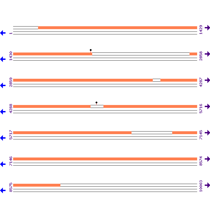 Genome View