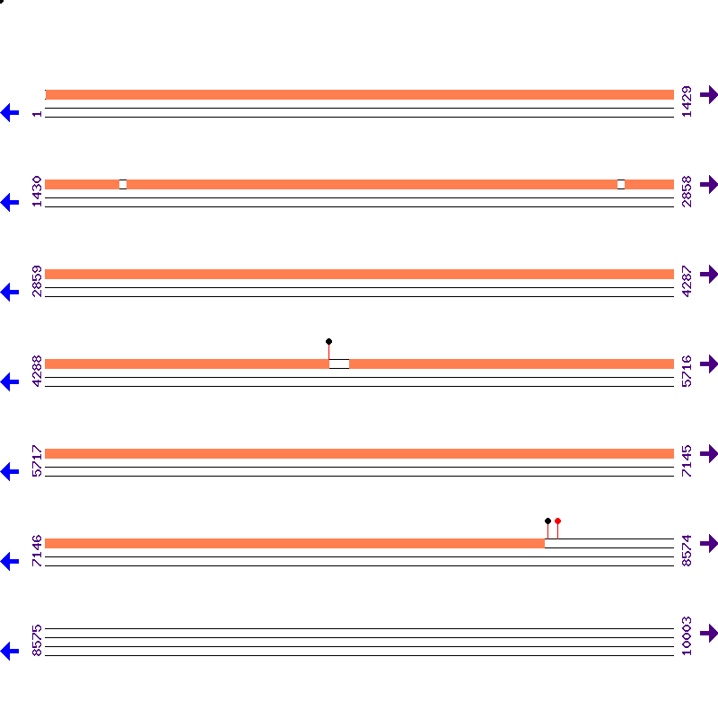 Genome View