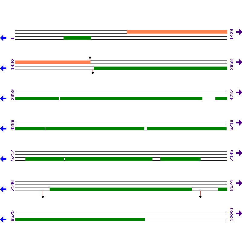 Genome View
