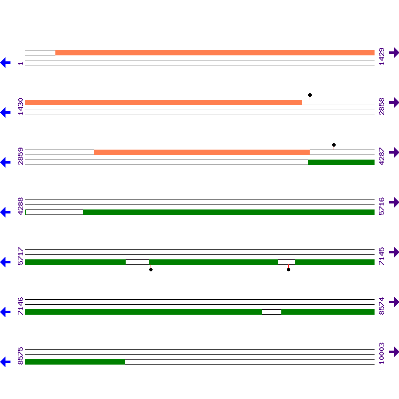 Genome View